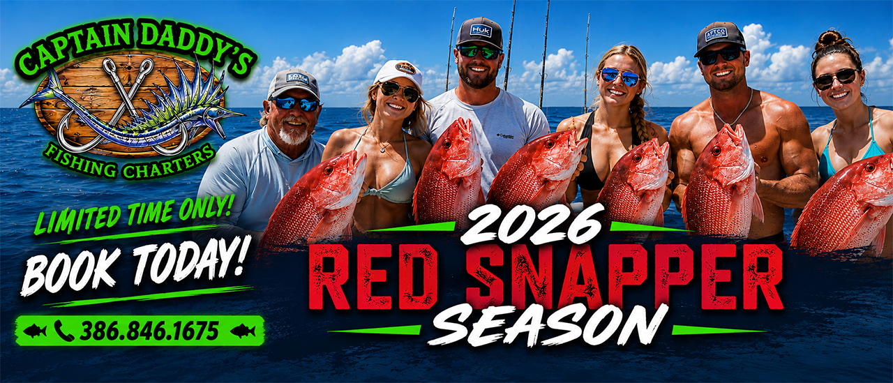 2026RedSnapper